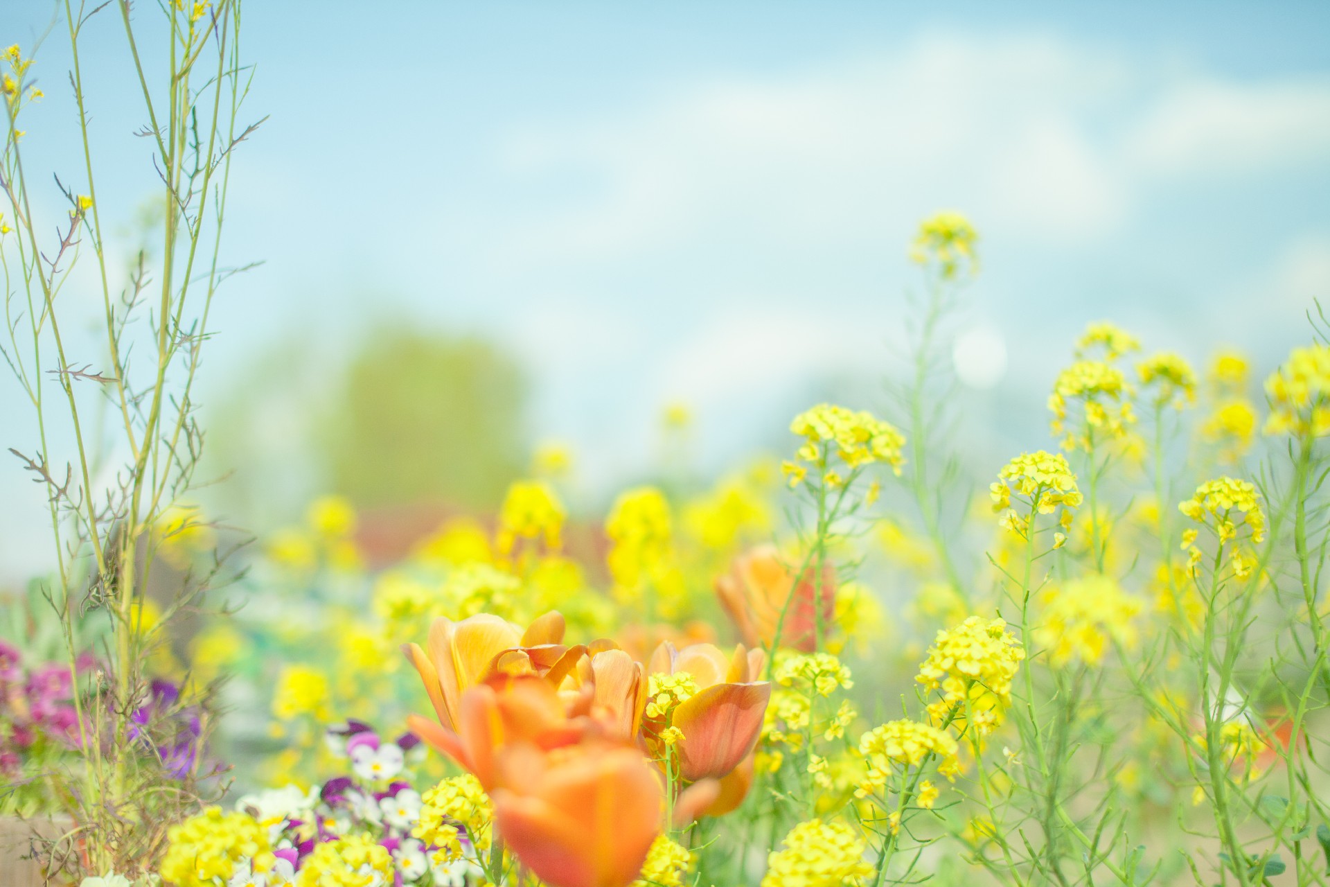 スタッフの名前