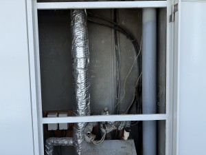 20250807_145802_IMG_5876